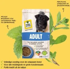 VITALstyle ADULT - Hondenbrokken - 12 Kg -Hondenspullen Verkoop 1200x1177 1