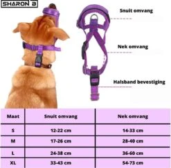 Sharon-B Muilkorf Turquoise Maat S - Fleece - Reflecterend - Kleine Hond 13 Sharon-B Muilkorf Turquoise Maat S - Fleece - Reflecterend - Kleine Hond -Hondenspullen Verkoop 1200x1179 5