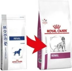 Royal Canin Renal - Hondenvoer - 2 Kg 26 Royal Canin Renal - Hondenvoer - 2 Kg -Hondenspullen Verkoop 1200x1181 1