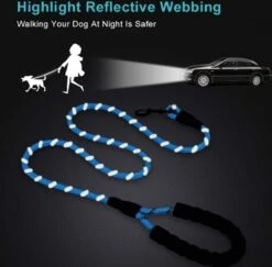 Merkloos Hondenriem - Reflecterende Hondenriem - Rood -Hondenspullen Verkoop 1200x1181 4