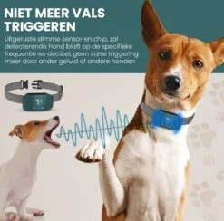 Salvano Anti Blafband - Blafband Voor Honden - Opvoedingshalsbanden - Voor Kleine En Grote Honden - Anti Blafband Zonder Schok- Oplaadbaar - Anti Blaf Apparaat - Blafband - Diervriendelijk 13 Salvano Anti Blafband - Blafband Voor Honden - Opvoedingshalsbanden - Voor Kleine En Grote Honden - Anti Blafband Zonder Schok- Oplaadbaar - Anti Blaf Apparaat - Blafband - Diervriendelijk -Hondenspullen Verkoop 1200x1183 2