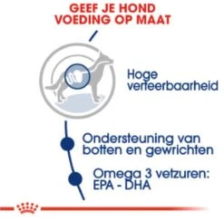 Royal Canin Maxi Adult 15 KG 26 Royal Canin Maxi Adult 15 KG -Hondenspullen Verkoop 1200x1185 2