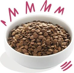 Edgard & Cooper Verse Hert & Scharreleend Brok - Voor Volwassen Honden - Hondenvoer - 2 X 2.5kg -Hondenspullen Verkoop 1200x1186 1