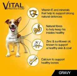 Pedigree Natvoer Mixed Selection 84 X 100 G. Kip, Runds, Kalkoen En Lams - Hondenvoeding -Compleet Nat Hondenvoer. -Hondenspullen Verkoop 1200x1187 6