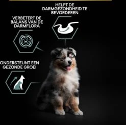 Pro Plan Medium Puppy Sensitive Digestion - Honden Droogvoer - Lam - 4 X 3 Kg 30 Pro Plan Medium Puppy Sensitive Digestion - Honden Droogvoer - Lam - 4 X 3 Kg -Hondenspullen Verkoop 1200x1190 1