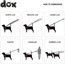 DDOXX Hondenriem Air Mesh, 3-voudig Verstelbaar, 2m | Voor Kleine & Grote Honden | Dubbele Riem Twee Honden Kat Puppy | Tug Leash Large | Lead Leash Small | Walking Leash Puppy Leash | Zwart, XS -Hondenspullen Verkoop 1200x1191 4