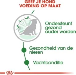 Royal Canin Shn Mini Ageing 12plus Pouch - Hondenvoer - 12x85 G -Hondenspullen Verkoop 1200x1192 3