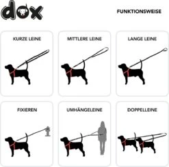 DDOXX Hondenriem Air Mesh, 3-voudig Verstelbaar, 2m | Voor Kleine & Grote Honden | Dubbele Riem Twee Honden Kat Puppy | Tug Leash Large | Lead Leash Small | Walking Leash Puppy Leash | Zwart, M -Hondenspullen Verkoop 1200x1192 4