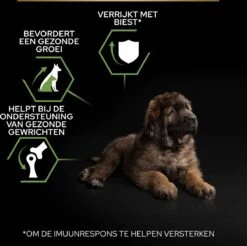 Pro Plan Healthy Start Puppy Large Robust - Honden Droogvoer - Kip - 12 Kg -Hondenspullen Verkoop 1200x1194