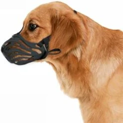 XtraSafe Muilkorf Voor Kleine Honden - Zwart - Maat 4 - Comfortabel 15 XtraSafe Muilkorf Voor Kleine Honden - Zwart - Maat 4 - Comfortabel -Hondenspullen Verkoop 1200x1197 12