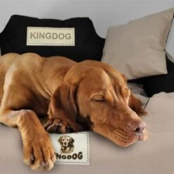 Kingdog - Honden- En Kattenbed 55 X 45 | Zwart - Maat S -Hondenspullen Verkoop 1200x1198 11
