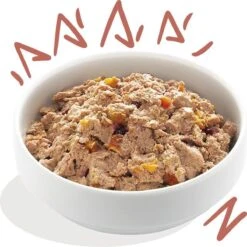 11x Edgard & Cooper Kuipje Vers Vlees Senior Hondenvoer Kip - Zalm 150 Gr 16 11x Edgard & Cooper Kuipje Vers Vlees Senior Hondenvoer Kip - Zalm 150 Gr -Hondenspullen Verkoop 1200x1198 5