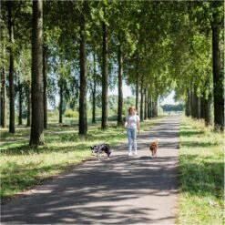 Rebel Petz - Dubbele Verstelbare Hondenriem Voor Twee Honden - Met Draaibare Sluiting En Zacht Handvat - Small En Large - Small (140 Cm Lang, Ø 8 Mm) 38 Rebel Petz - Dubbele Verstelbare Hondenriem Voor Twee Honden - Met Draaibare Sluiting En Zacht Handvat - Small En Large - Small (140 Cm Lang, Ø 8 Mm) -Hondenspullen Verkoop 1200x1198 6