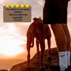 Looplijn Met Heupriem Hands Free - Hondenriem - Reflecterende Hardloopband -Elastische Leiband - Heuptas En Flessenhouder - Zwart - 150 Cm Tot 210 Cm -Hondenspullen Verkoop 1200x1198 8