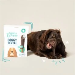 Edgard & Cooper Doggy Dental Sticks Appel - Eucalyptusolie Medium -Hondenspullen Verkoop 1200x1199 12