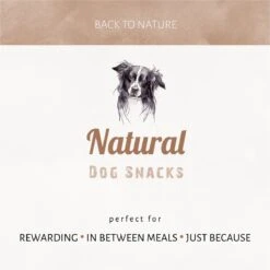 Antos Kippenpoten Gedroogd Kip 1 Kg -Hondenspullen Verkoop 1200x1199 16