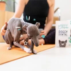 Merkloos Edgard & Cooper Doggy Dental Sticks Aardbei - Frisse Muntolie Small -Hondenspullen Verkoop 1200x1199 19