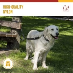 Happilax Dog Leash 2m Adjustable - Black/Reflective - 3-Step Adjustable Leash - Double Leash, Tug Leash - Geschikt Als Hondenriem Voor Grote Honden Of Als Sleepriem Voor Kleine Honden. -Hondenspullen Verkoop 1200x1199 21