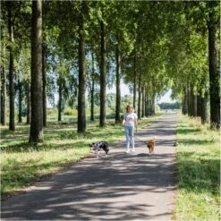 Rebel Petz - Dubbele Verstelbare Hondenriem Voor Twee Honden - Met Draaibare Sluiting En Zacht Handvat - Small En Large - Large (140 Cm Lang, Ø 12 Mm) 38 Rebel Petz - Dubbele Verstelbare Hondenriem Voor Twee Honden - Met Draaibare Sluiting En Zacht Handvat - Small En Large - Large (140 Cm Lang, Ø 12 Mm) -Hondenspullen Verkoop 1200x1199 22