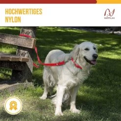 Happilax Dog Leash 2m Adjustable - Red / Reflective - 3-Step Adjustable Leash - Double Leash, Tug Leash - Geschikt Als Hondenriem Voor Grote Honden Of Als Sleepriem Voor Kleine Honden. -Hondenspullen Verkoop 1200x1199 24