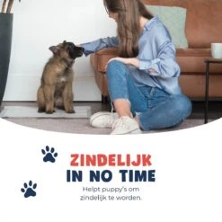 JC Pets Premium Puppy Training Pads - Hondentoilet - Zindelijkheidstraining Hond - 100 Stuks - 60 X 45 Cm 16 JC Pets Premium Puppy Training Pads - Hondentoilet - Zindelijkheidstraining Hond - 100 Stuks - 60 X 45 Cm -Hondenspullen Verkoop 1200x1200 1040