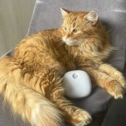 Pettadore Air Insight - Kattenbak Geurverdrijver & Teller - Actieve Zuurstof En Ionen - Oplaadbaar - Met App -Hondenspullen Verkoop 1200x1200 1060