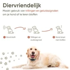 Premium Anti Blafband Apparaat Om Je Hond Snel En Effectief Te Laten Stoppen Met Blaffen - Diervriendelijke Opvoedingshalsband Zonder Schok - Trainingshalsband Voor Grote En Kleine Honden - Anti Blaf Apparaat - Correctie Halsband 14 Premium Anti Blafband Apparaat Om Je Hond Snel En Effectief Te Laten Stoppen Met Blaffen - Diervriendelijke Opvoedingshalsband Zonder Schok - Trainingshalsband Voor Grote En Kleine Honden - Anti Blaf Apparaat - Correctie Halsband -Hondenspullen Verkoop 1200x1200 1064