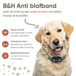 Premium Anti Blafband Apparaat Om Je Hond Snel En Effectief Te Laten Stoppen Met Blaffen - Diervriendelijke Opvoedingshalsband Zonder Schok - Trainingshalsband Voor Grote En Kleine Honden - Anti Blaf Apparaat - Correctie Halsband 15 Premium Anti Blafband Apparaat Om Je Hond Snel En Effectief Te Laten Stoppen Met Blaffen - Diervriendelijke Opvoedingshalsband Zonder Schok - Trainingshalsband Voor Grote En Kleine Honden - Anti Blaf Apparaat - Correctie Halsband -Hondenspullen Verkoop 1200x1200 1065