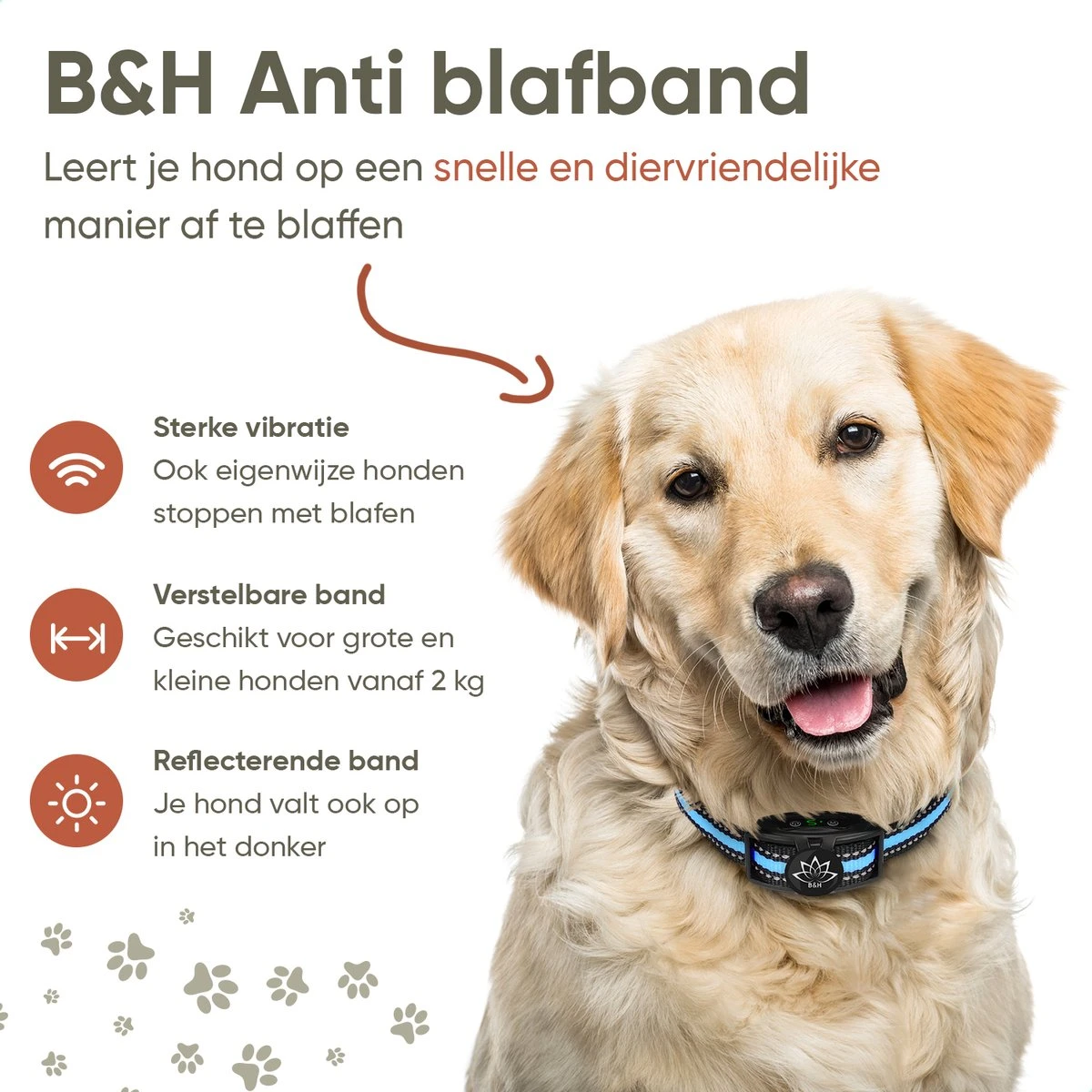Premium Anti Blafband Apparaat Om Je Hond Snel En Effectief Te Laten Stoppen Met Blaffen - Diervriendelijke Opvoedingshalsband Zonder Schok - Trainingshalsband Voor Grote En Kleine Honden - Anti Blaf Apparaat - Correctie Halsband 7 Premium Anti Blafband Apparaat Om Je Hond Snel En Effectief Te Laten Stoppen Met Blaffen - Diervriendelijke Opvoedingshalsband Zonder Schok - Trainingshalsband Voor Grote En Kleine Honden - Anti Blaf Apparaat - Correctie Halsband - Afbeelding 5