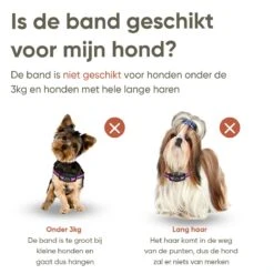 Premium Anti Blafband Om Je Hond Snel En Effectief Te Laten Stoppen Met Blaffen - Diervriendelijke Opvoedingshalsband Zonder Schok - Trainingshalsband Voor Grote En Kleine Honden - Anti Blaf Apparaat - Correctie Halsband 13 Premium Anti Blafband Om Je Hond Snel En Effectief Te Laten Stoppen Met Blaffen - Diervriendelijke Opvoedingshalsband Zonder Schok - Trainingshalsband Voor Grote En Kleine Honden - Anti Blaf Apparaat - Correctie Halsband -Hondenspullen Verkoop 1200x1200 1080