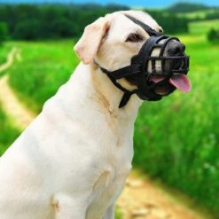 Sharon B Muilkorf Hond - Zwart - XXL - Voor Zeer Grote Honden - Snuitomtrek 38-43 Cm -Hondenspullen Verkoop 1200x1200 1097