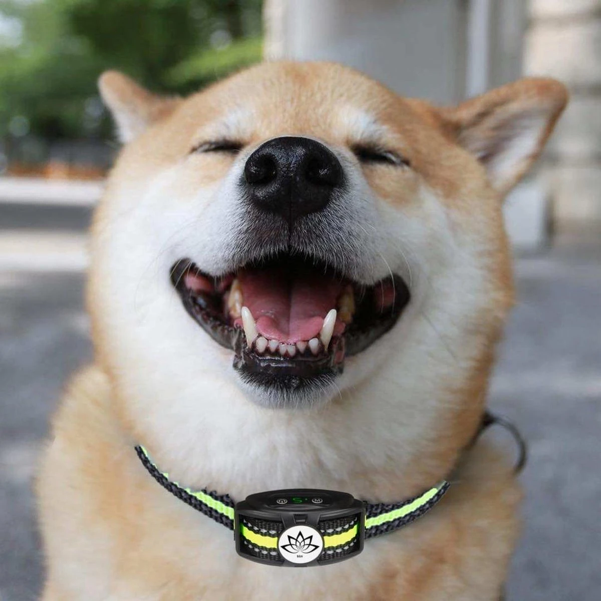 Premium Anti Blafband - Diervriendelijke Opvoedingshalsband Zonder Schok - Trainingshalsband Voor Grote En Kleine Honden - Anti Blaf Band - Correctie Halsband 11 Premium Anti Blafband - Diervriendelijke Opvoedingshalsband Zonder Schok - Trainingshalsband Voor Grote En Kleine Honden - Anti Blaf Band - Correctie Halsband - Afbeelding 9