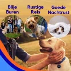MyPets™ Anti-blafband - Anti Blaf Apparaat - Voor Kleine Honden En Grote Honden - Diervriendelijk - Opvoedingshalsband - Trainingshalsband - 2022/2023 Versie - Inclusief Batterijen -Hondenspullen Verkoop 1200x1200 1122