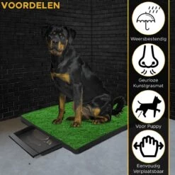 Toivo HondenToilet Kunstgras - Zwart - Geurafstotend - 62 X 49 X 6.6 CM - Honden Wc Outdoor - Zindelijkheidstraining Hond - Puppy Pads - Dierentoilet 14 Toivo HondenToilet Kunstgras - Zwart - Geurafstotend - 62 X 49 X 6.6 CM - Honden Wc Outdoor - Zindelijkheidstraining Hond - Puppy Pads - Dierentoilet -Hondenspullen Verkoop 1200x1200 1134
