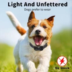 NIIYEBU Anti Blafband - Blafbanden Voor Honden - Anti Blaf Apparaat - Diervriendelijk - Zonder Schok - Vibratie En Audio -Hondenspullen Verkoop 1200x1200 1177