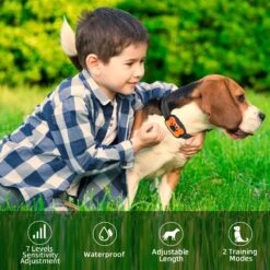 NIIYEBU Anti Blafband - Blafbanden Voor Honden - Anti Blaf Apparaat - Diervriendelijk - Zonder Schok - Vibratie En Audio -Hondenspullen Verkoop 1200x1200 1178