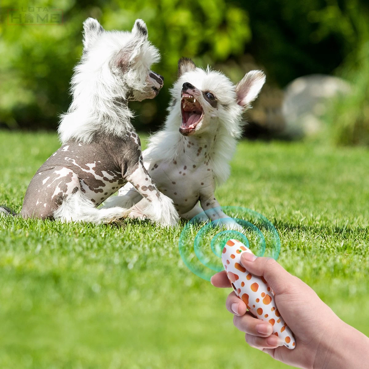 Merkloos LotaHome - Anti Blaf Apparaat - Hondentrainer Voor Binnen En Buiten - Bereik Tot 15 Meter - Diervriendelijk - Zonder Schok - Ultrasone - Voor Alle Honden - Inclusief Clicker 8 Merkloos LotaHome - Anti Blaf Apparaat - Hondentrainer Voor Binnen En Buiten - Bereik Tot 15 Meter - Diervriendelijk - Zonder Schok - Ultrasone - Voor Alle Honden - Inclusief Clicker - Afbeelding 6