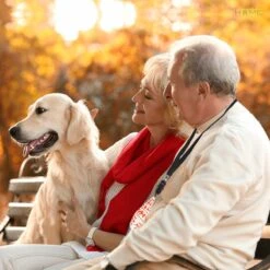 Merkloos LotaHome - Anti Blaf Apparaat - Hondentrainer Voor Binnen En Buiten - Bereik Tot 15 Meter - Diervriendelijk - Zonder Schok - Ultrasone - Voor Alle Honden - Inclusief Clicker 26 Merkloos LotaHome - Anti Blaf Apparaat - Hondentrainer Voor Binnen En Buiten - Bereik Tot 15 Meter - Diervriendelijk - Zonder Schok - Ultrasone - Voor Alle Honden - Inclusief Clicker -Hondenspullen Verkoop 1200x1200 1191