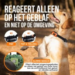 Strex Anti Blafband Voor Honden - 3-60KG - Oplaadbaar - Zonder Schok - Vibratie En Audio - Diervriendelijk - Anti Blaf Band - Anti Blaf Apparaat - Opvoedingshalsband Alle Honden 13 Strex Anti Blafband Voor Honden - 3-60KG - Oplaadbaar - Zonder Schok - Vibratie En Audio - Diervriendelijk - Anti Blaf Band - Anti Blaf Apparaat - Opvoedingshalsband Alle Honden -Hondenspullen Verkoop 1200x1200 1200
