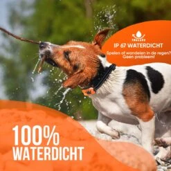 Strex Anti Blafband Voor Honden - 3-60KG - Oplaadbaar - Zonder Schok - Vibratie En Audio - Diervriendelijk - Anti Blaf Band - Anti Blaf Apparaat - Opvoedingshalsband Alle Honden 15 Strex Anti Blafband Voor Honden - 3-60KG - Oplaadbaar - Zonder Schok - Vibratie En Audio - Diervriendelijk - Anti Blaf Band - Anti Blaf Apparaat - Opvoedingshalsband Alle Honden -Hondenspullen Verkoop 1200x1200 1202