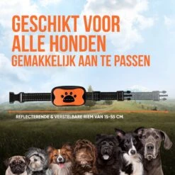 Strex Anti Blafband Voor Honden - 3-60KG - Oplaadbaar - Zonder Schok - Vibratie En Audio - Diervriendelijk - Anti Blaf Band - Anti Blaf Apparaat - Opvoedingshalsband Alle Honden 17 Strex Anti Blafband Voor Honden - 3-60KG - Oplaadbaar - Zonder Schok - Vibratie En Audio - Diervriendelijk - Anti Blaf Band - Anti Blaf Apparaat - Opvoedingshalsband Alle Honden -Hondenspullen Verkoop 1200x1200 1204