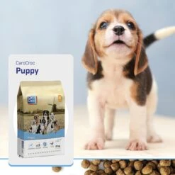 Carocroc Puppy 15 KG 20 Carocroc Puppy 15 KG -Hondenspullen Verkoop 1200x1200 121