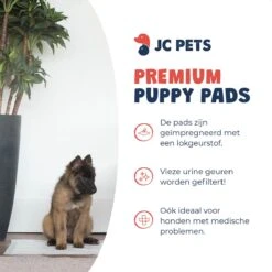 JC Pets Premium Puppy Training Pads - Hondentoilet - Zindelijkheidstraining Hond - 50 Stuks - 60 X 45 Cm -Hondenspullen Verkoop 1200x1200 1232