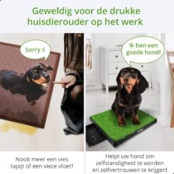 AWEMOZ Hondentoilet Kunstgras - Met 2 Matten En Opvangbak - 64x52x7,5cm - Puppy Pads - Zindelijkheidstraining Hond - Training Pads - Indoor / Outdoor Honden Toilet 15 AWEMOZ Hondentoilet Kunstgras - Met 2 Matten En Opvangbak - 64x52x7,5cm - Puppy Pads - Zindelijkheidstraining Hond - Training Pads - Indoor / Outdoor Honden Toilet -Hondenspullen Verkoop 1200x1200 1242