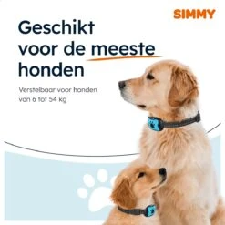 Simmy Anti Blafband - Diervriendelijke Opvoedingshalsband - Zwart En Blauw - Diervriendelijk - Zonder Schok - Anti Blaf Band Voor Grote En Kleine Honden 19 Simmy Anti Blafband - Diervriendelijke Opvoedingshalsband - Zwart En Blauw - Diervriendelijk - Zonder Schok - Anti Blaf Band Voor Grote En Kleine Honden -Hondenspullen Verkoop 1200x1200 1255