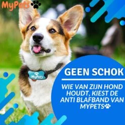 MyPets™ Anti-blafband - Anti Blaf Apparaat - Voor Kleine Honden En Grote Honden - Diervriendelijk - Opvoedingshalsband - Trainingshalsband - 2022/2023 Versie - Inclusief Batterijen -Hondenspullen Verkoop 1200x1200 1259