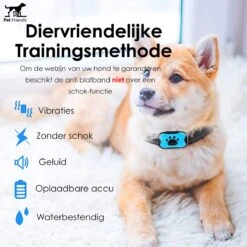 PetFriends Anti Blafband Zonder Schok - Gratis Hondenfluit - USB Oplaadbaar - Anti Blaf Apparaat - Opvoedingshalsband - Voor Grote En Kleine Honden -Hondenspullen Verkoop 1200x1200 1269