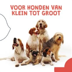 JC Pets Ultrasone Anti Blaf Apparaat Voor Kleine En Grote Honden - Oplaadbaar - Alternatief Anti Blafband Voor Honden - Diervriendelijk & Zonder Schok -Hondenspullen Verkoop 1200x1200 1283
