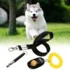 Handige 3-In-1 Hondenfluit - Professioneel - Fluit - Trainen - Ultrasoon -Hondenspullen Verkoop 1200x1200 1287
