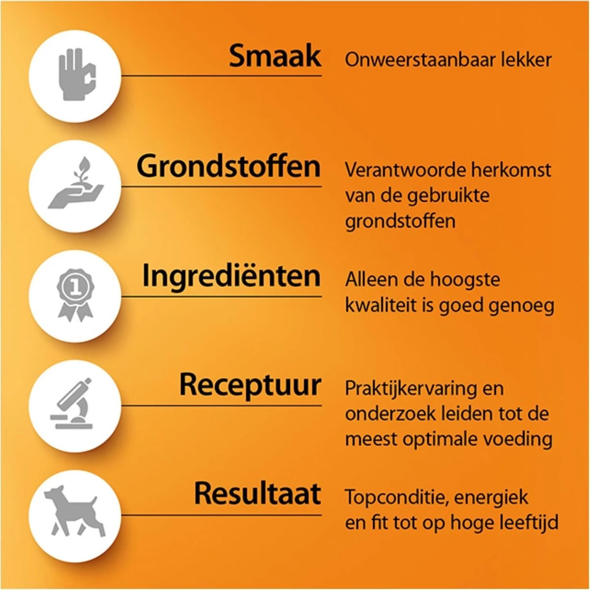 Fokker Nutri-Fit Adult Medium 9 Fokker Nutri-Fit Adult Medium - Afbeelding 7